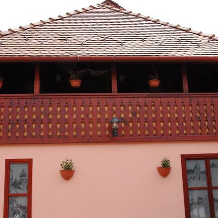 Pension Ela Sibiu Bagian luar foto