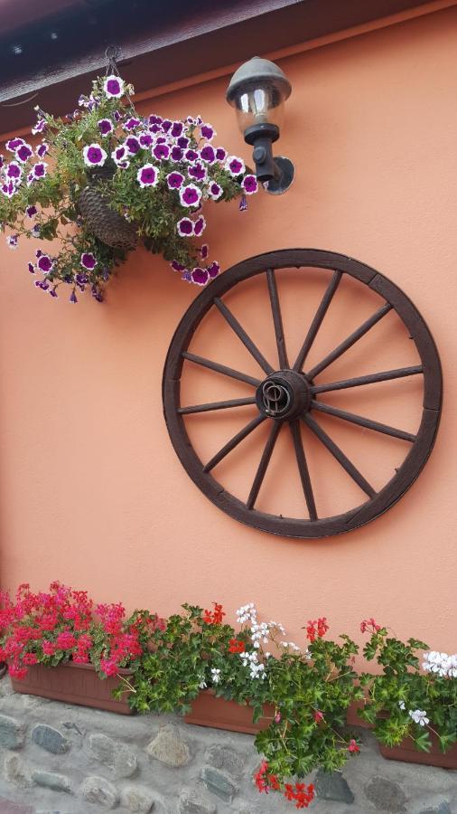 Pension Ela Sibiu Bagian luar foto