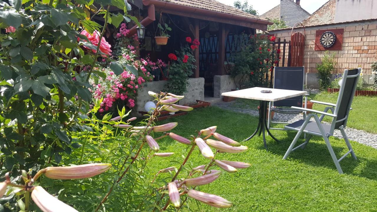 Pension Ela Sibiu Bagian luar foto