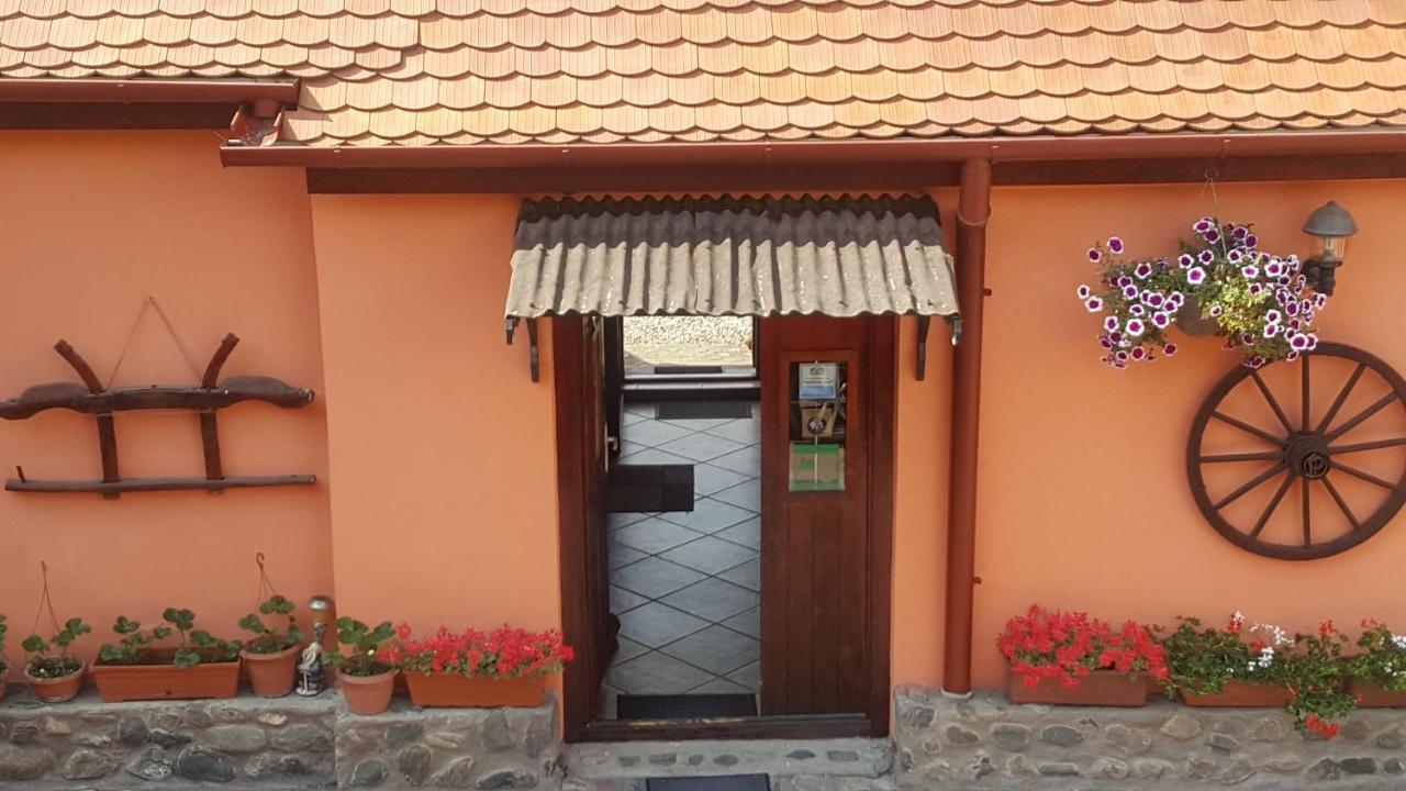 Pension Ela Sibiu Bagian luar foto