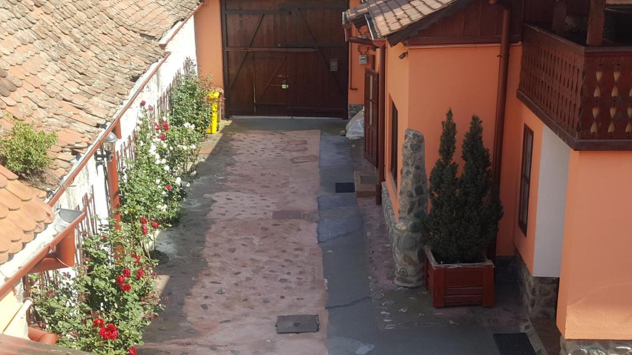 Pension Ela Sibiu Bagian luar foto