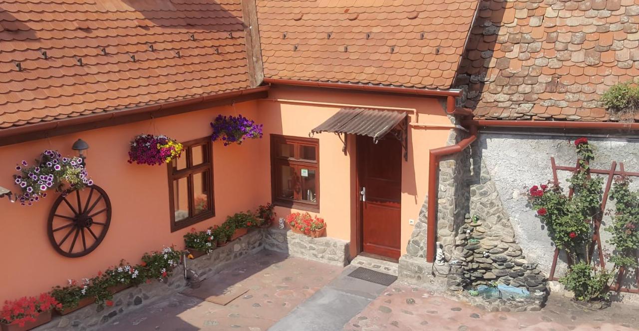 Pension Ela Sibiu Bagian luar foto