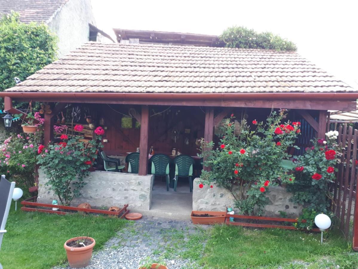 Pension Ela Sibiu Bagian luar foto