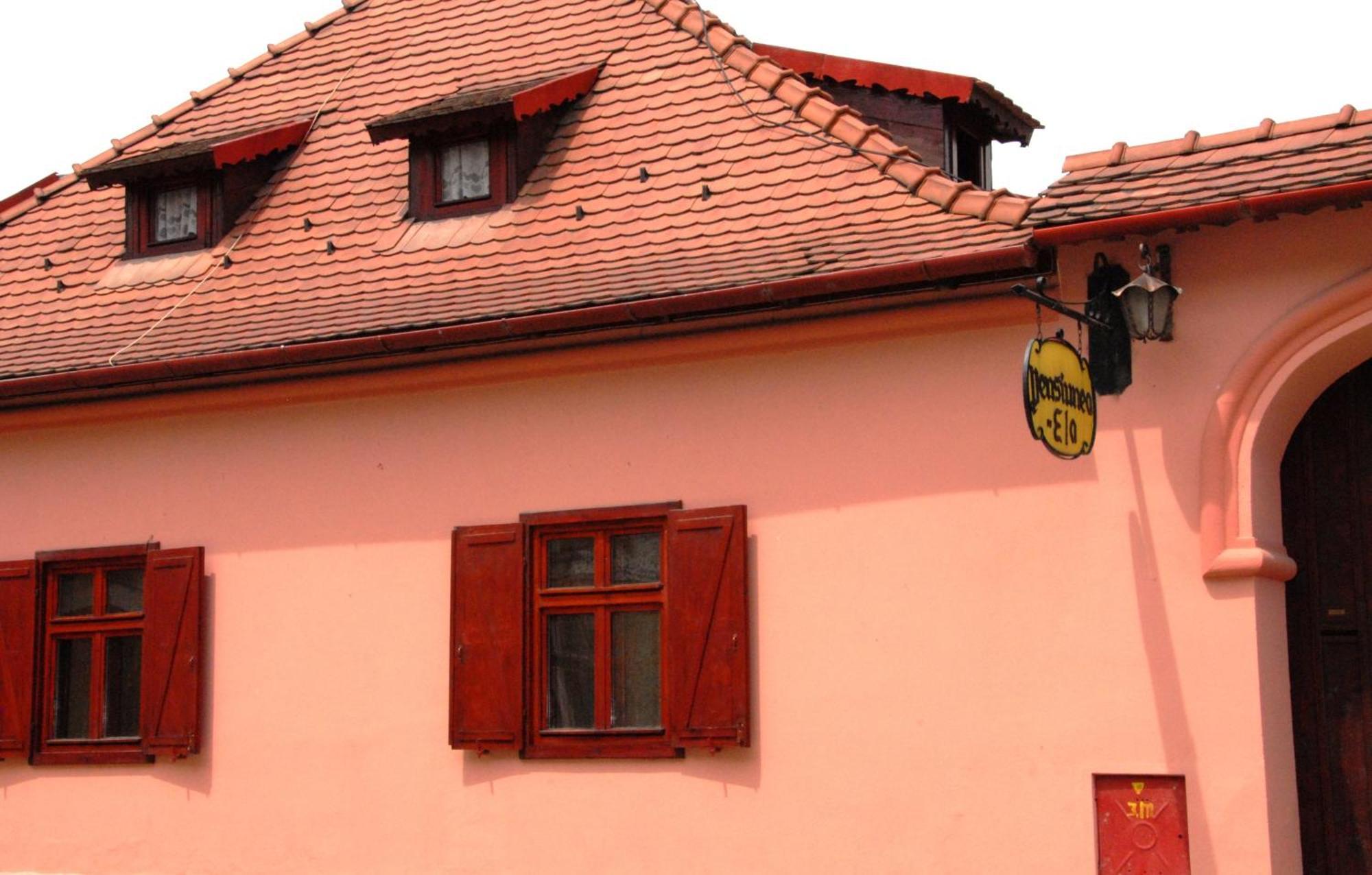 Pension Ela Sibiu Bagian luar foto