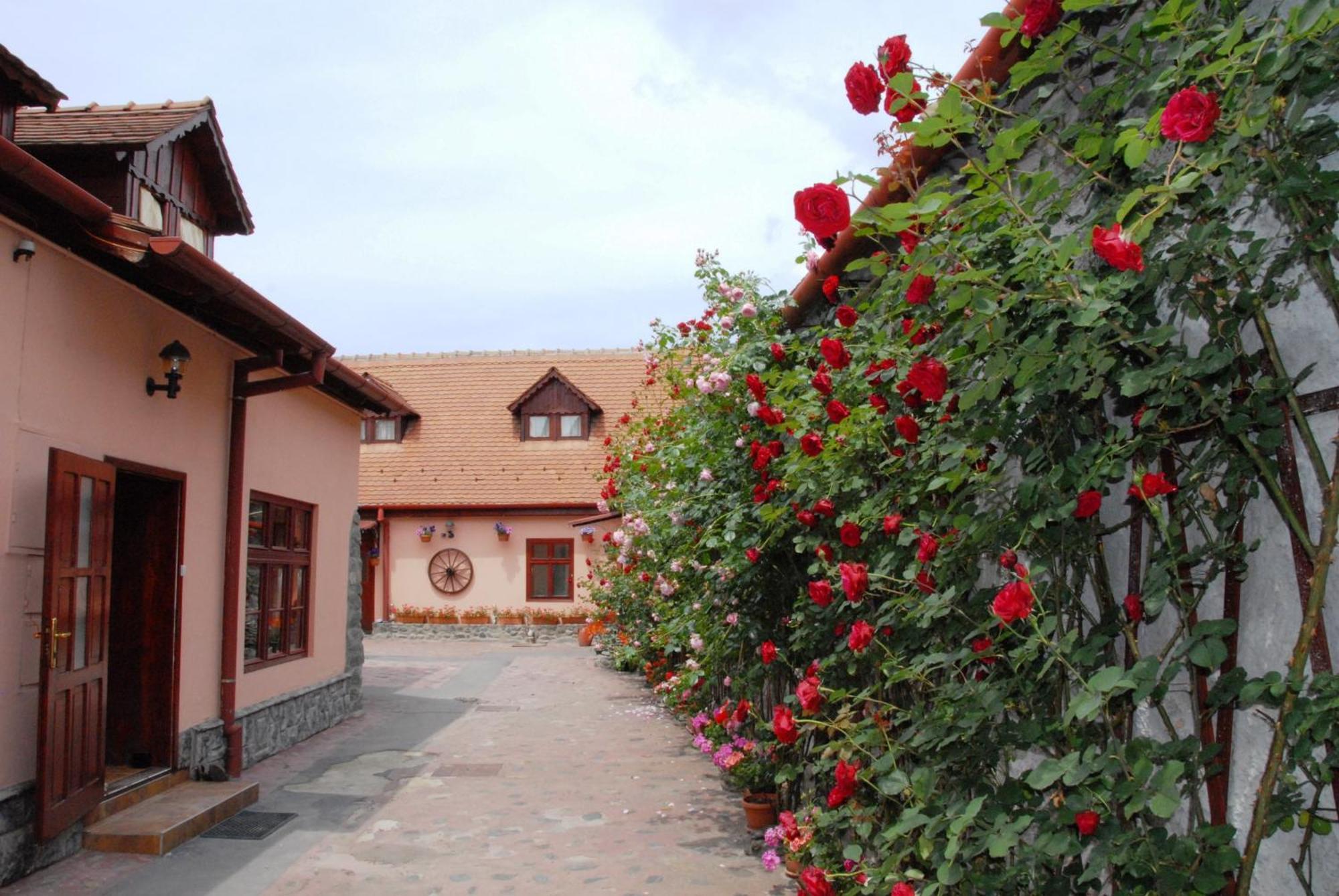 Pension Ela Sibiu Bagian luar foto