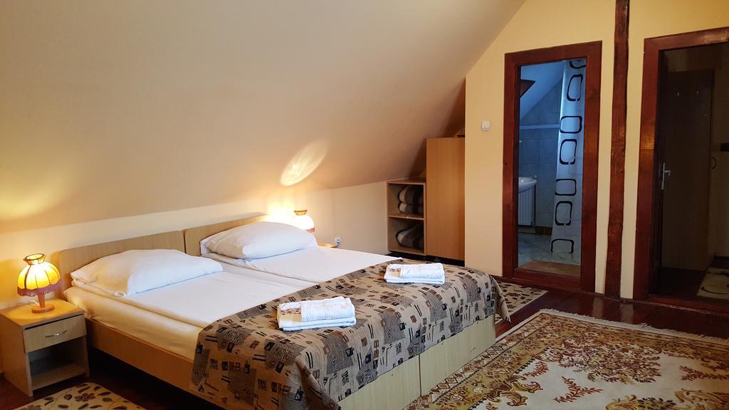 Pension Ela Sibiu Bagian luar foto