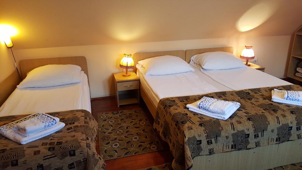 Pension Ela Sibiu Bagian luar foto
