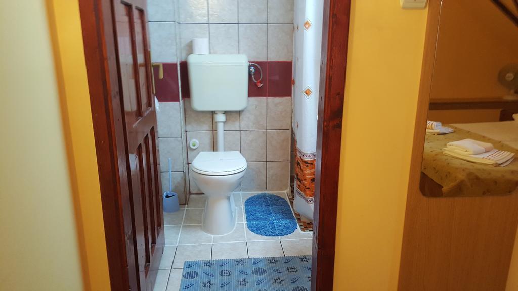 Pension Ela Sibiu Bagian luar foto