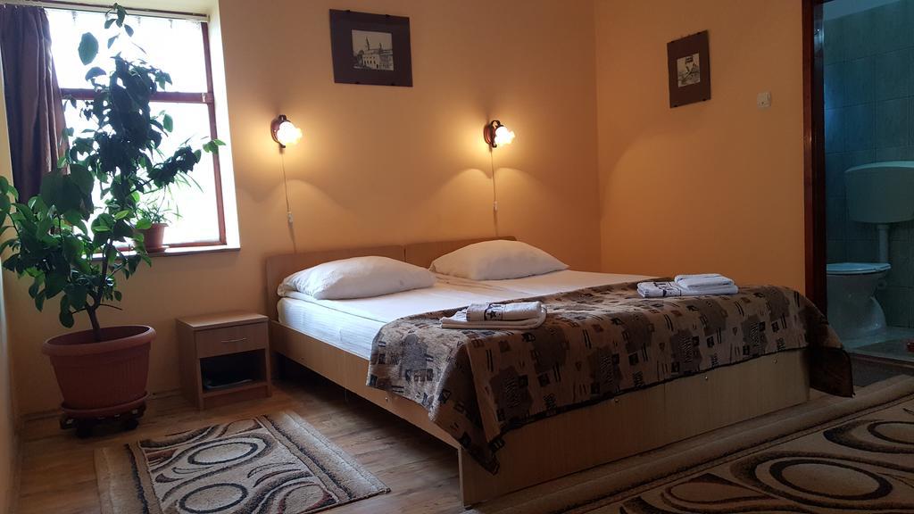 Pension Ela Sibiu Bagian luar foto