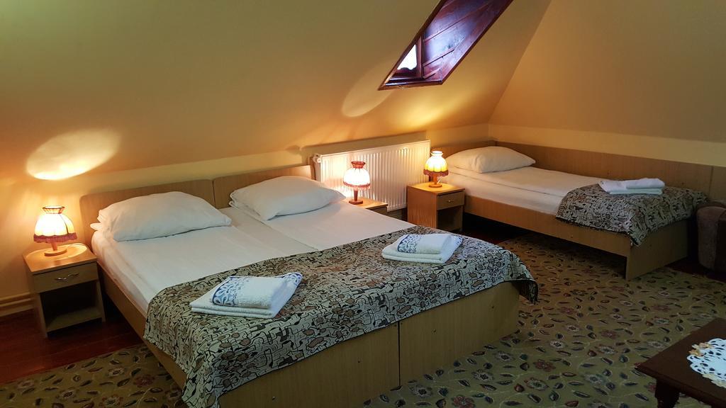 Pension Ela Sibiu Bagian luar foto